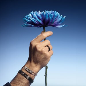 Move Titanium modelleri 